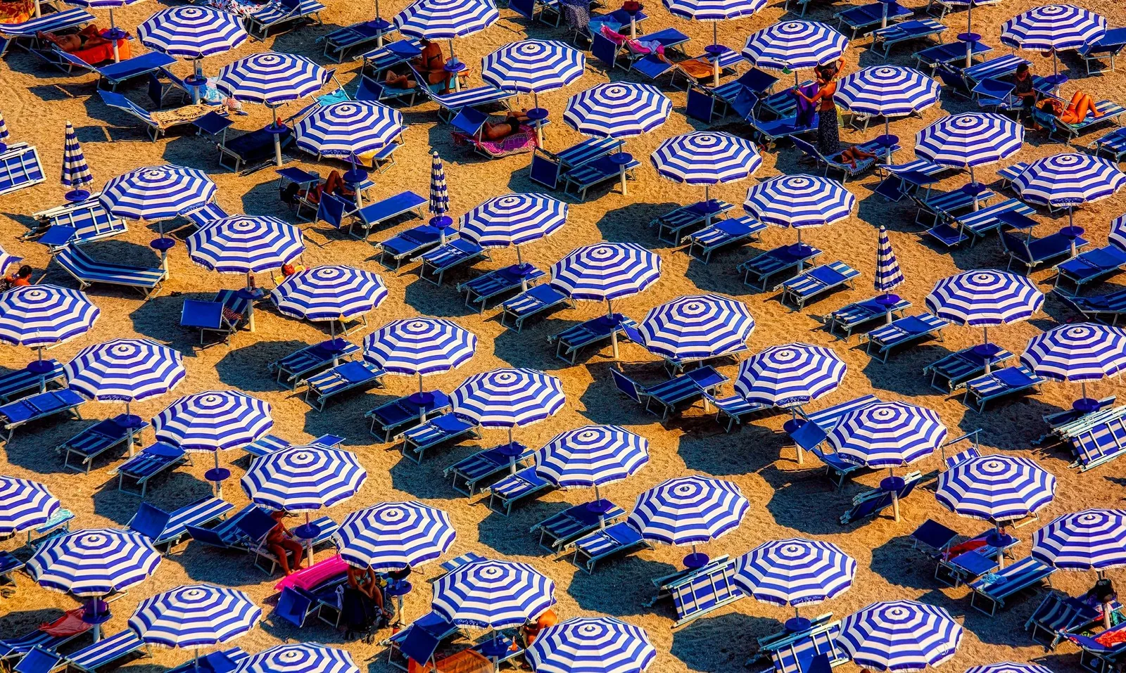 Aerial view of striped beach umbrellas set out along a beach