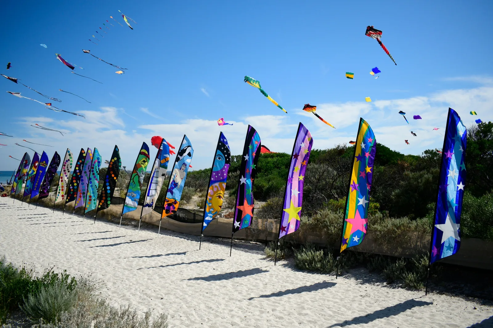 Multiple Feather Flags displayed at a large outdoor event